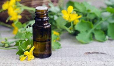 Celllandine Jus fir d'Behandlung vum Neel Pilz